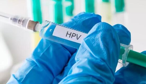 人乳頭瘤病毒(HPV)檢測(23分型)